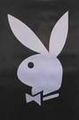 Playboybunny`s 37866661