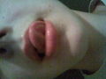 summer 08 43521360