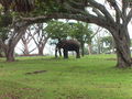 Mysore, National Park, Kanyakumari 40913098