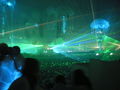 Sensation White Düsseldorf 51015364