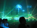 Sensation White Düsseldorf 51015420