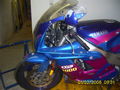 Meine FZR 1000 Exup 38722421