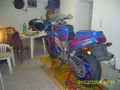 Meine FZR 1000 Exup 38722517