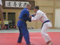 Judo 46409360