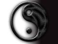 Ying-Yang 50191622