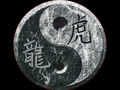 Ying-Yang 50191624