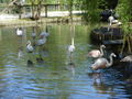 Tierpark Haag 47743522