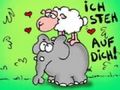 süße bilda 38511160