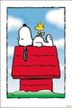 snoopy 70336032