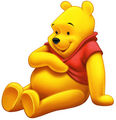 WinnyPooh 70336233