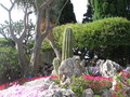 Botanischer Garten Monaco 75784050