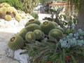 Botanischer Garten Monaco 75784107