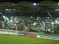 RAPID WIEN  47382025