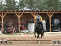 horserider - Fotoalbum