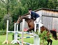 horserider - Fotoalbum
