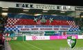 Rapid Wien Choreos 57055435