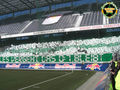 Rapid Wien Choreos 57055465