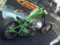 PS Show 38331037