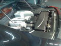 PS Show 38331076