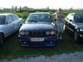 BMW Wolves 38333660