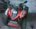 Pimp my Quad-Bike 72571336