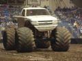 Monstertrucks 55462292