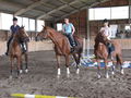 Reiten =) 68356530