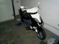 mei moped *hehe* 7238801