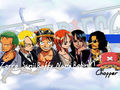 one piece 45801326