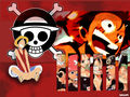 one piece 45801331