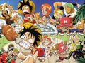 one piece 45801358