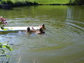 extremst geil mit vroni am teich  66414315