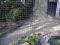 tierpark linz 57043709