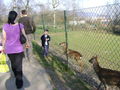 tierpark linz 57045058