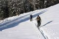 Schitour  auf die Bärenalm 54114101