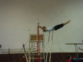 I LOVE GYMNASTICS!! 70198362