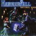 hAmMeRfAlL 39064224