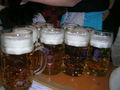 ~oktoberfest 2oo8~ 46206456