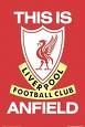 mein lieblingsverein Liverpool 39215480