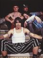 Red Hot Chilli Peppers 39191017