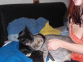 Meine Katzen Tomy und Cora 39260229