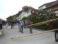 Maibaum Stehlen 05/2011 75641057