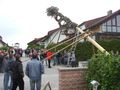 Maibaum Stehlen 05/2011 75641069