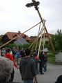 Maibaum Stehlen 05/2011 75641071