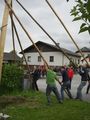 Maibaum Stehlen 05/2011 75641098