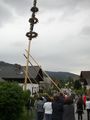 Maibaum Stehlen 05/2011 75641102