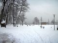 MONDSEE WINTER 12-18 FEBRUAR 2009 53881814