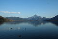 FRÜHLING MONDSEE AB 4.APRIL.2009 57327656