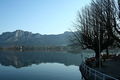 FRÜHLING MONDSEE AB 4.APRIL.2009 57327784