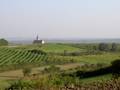 Weinviertel!!!!! 2218836